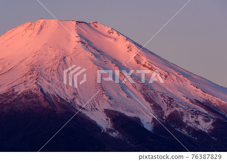 Red Fuji close-up in the early morning Red Fuji close-up in the early morning 76387829