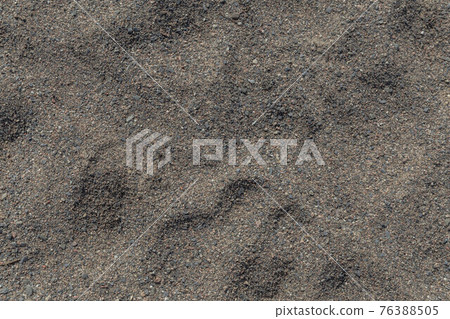 加拿大鵝卵石沙箱地面 76388505
