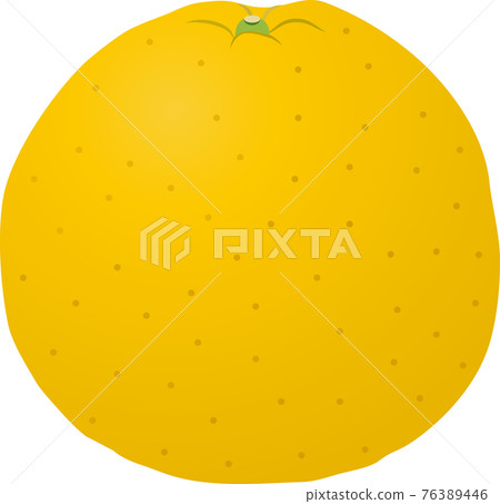 河內康拜 河內康拜 76389446