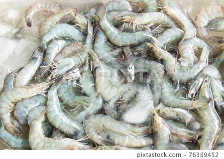 fresh raw pacific white shrimp or king prawn on ice fresh raw pacific white shrimp or king prawn on ice 76389452