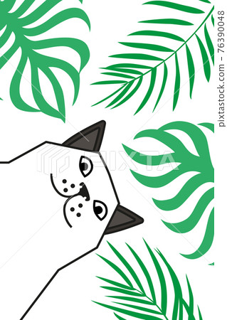 Cat tells you to wake up on the beach under palms Cat tells you to wake up on the beach under palms 76390048