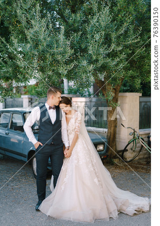 Wedding couple cuddles on the background of a large olive tree and a vintage blue car. Fine-art wedding photo in Montenegro, Perast. Wedding couple cuddles on the background of a large olive tree and a vintage blue car. Fine-art wedding photo in Montenegro, Perast. 76390150