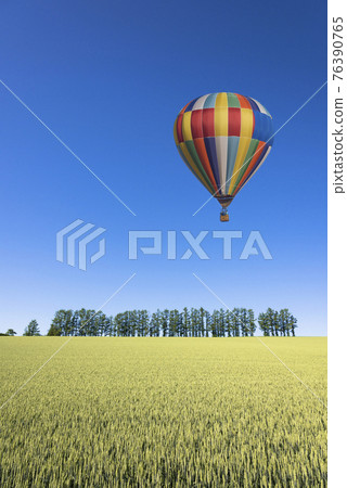 A balloon flying over the wheat field in Biei, a hill town 76390765