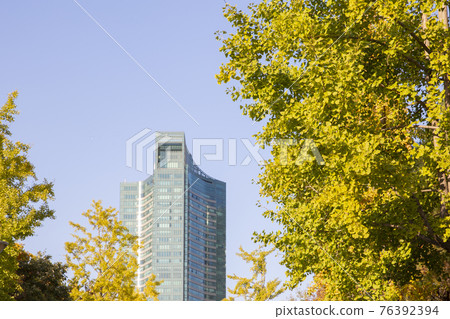 colorful autumn scenery colorful autumn scenery 76392394