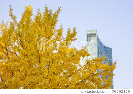 colorful autumn scenery colorful autumn scenery 76392399