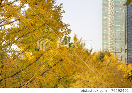 colorful autumn scenery colorful autumn scenery 76392401