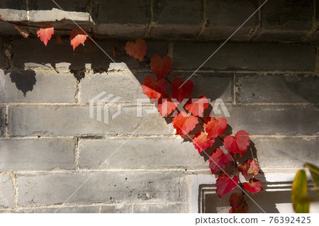 colorful autumn scenery colorful autumn scenery 76392425