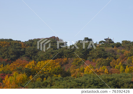 colorful autumn scenery 76392426