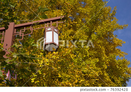 colorful autumn scenery 76392428