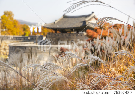 colorful autumn scenery colorful autumn scenery 76392429