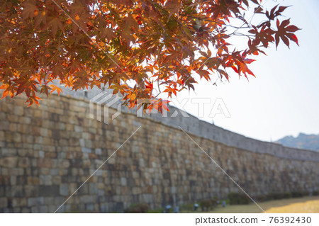 colorful autumn scenery colorful autumn scenery 76392430