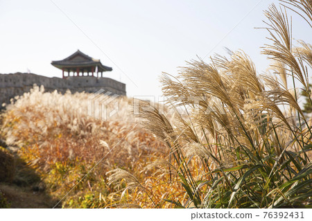 colorful autumn scenery colorful autumn scenery 76392431