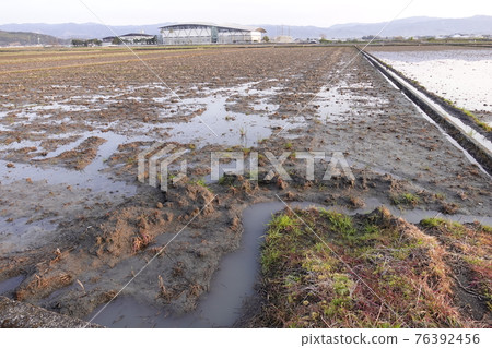 水稻種植的準備 76392456