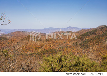 colorful Autumn scenery colorful Autumn scenery 76392990