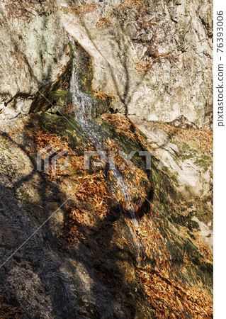 colorful Autumn scenery colorful Autumn scenery 76393006