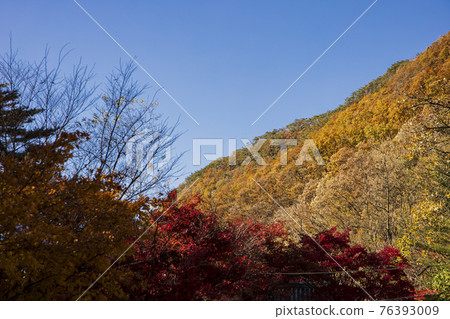colorful Autumn scenery colorful Autumn scenery 76393009