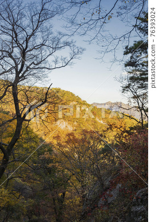 colorful Autumn scenery colorful Autumn scenery 76393024