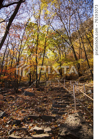 colorful Autumn scenery 76393073