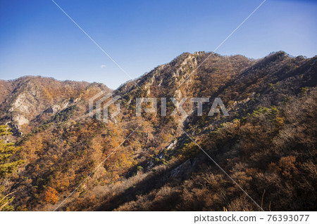 colorful Autumn scenery colorful Autumn scenery 76393077