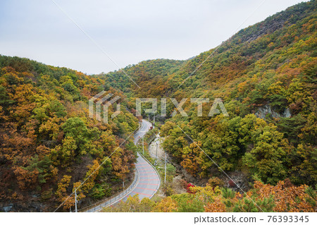 colorful Autumn scenery 76393345