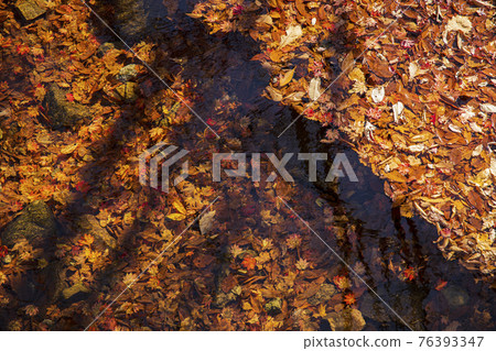 colorful Autumn scenery colorful Autumn scenery 76393347