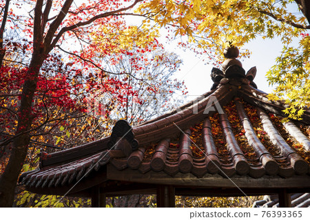 colorful Autumn scenery 76393365