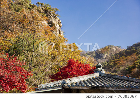 colorful Autumn scenery colorful Autumn scenery 76393367