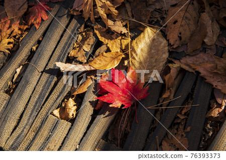colorful Autumn scenery 76393373