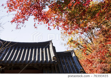 colorful Autumn scenery colorful Autumn scenery 76393435