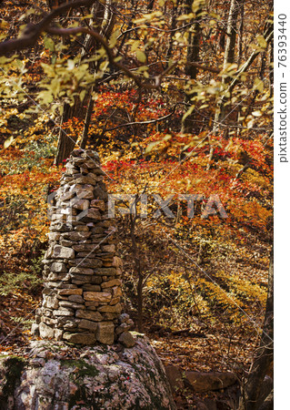 colorful Autumn scenery colorful Autumn scenery 76393440