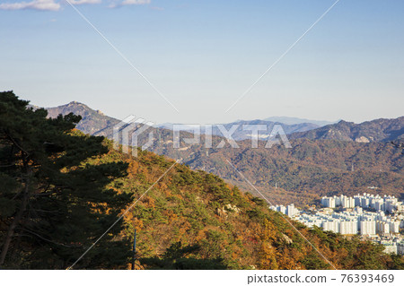 colorful Autumn scenery colorful Autumn scenery 76393469