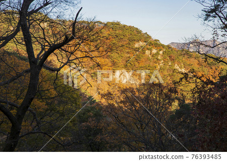 colorful Autumn scenery colorful Autumn scenery 76393485