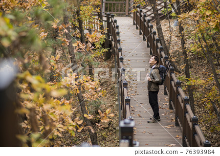 Asian handsome man trekking, climbing autumn mountain Asian handsome man trekking, climbing autumn mountain 76393984