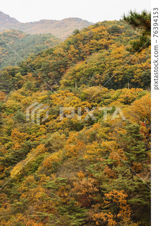 handsome Asian male model autumn travel concept handsome Asian male model autumn travel concept 76394153
