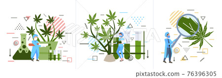 set researchers checking analyzing examining marijuana plant healthcare pharmacy medical cannabis concept horizontal full length 76396305