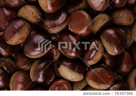 background of chestnuts background of chestnuts 76397366