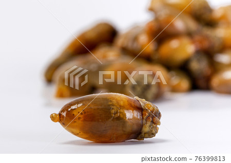 warty sea squirt, white background warty sea squirt, white background 76399813