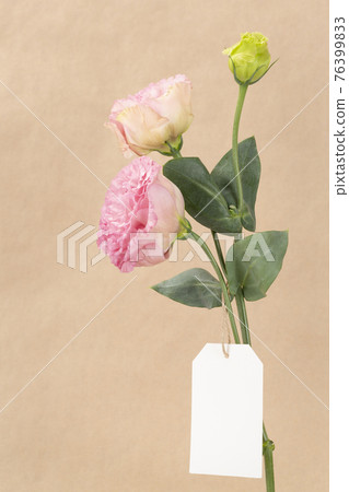 pink flower on floor pink flower on floor 76399833