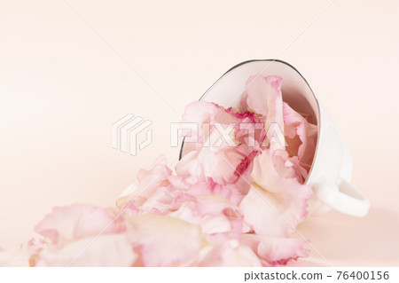 flower buds in cup, pink background 76400156