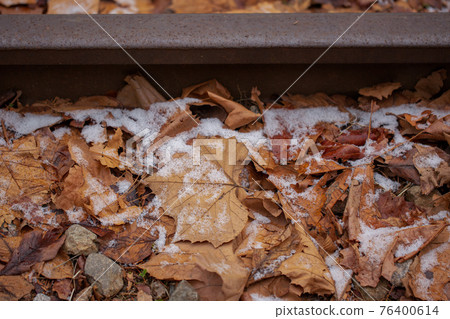 fallen leaves in winter 76400614