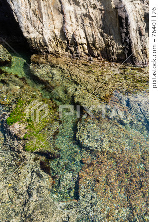 The clear seawater is a beautiful coast Izu 76401126
