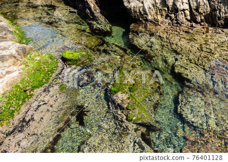 The clear seawater is a beautiful coast Izu The clear seawater is a beautiful coast Izu 76401128