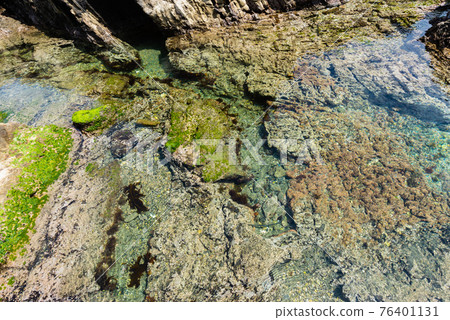The clear seawater is a beautiful coast Izu The clear seawater is a beautiful coast Izu 76401131