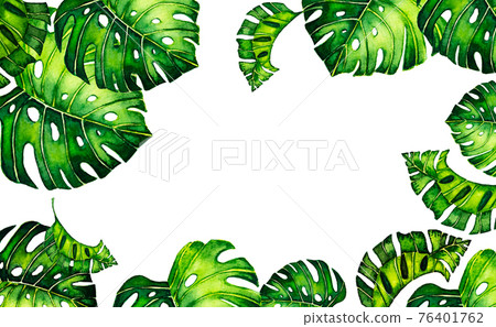 green background with border with leaves monstera. Tropical leaves of palm tree on white background. green background with border with leaves monstera. Tropical leaves of palm tree on white background. 76401762