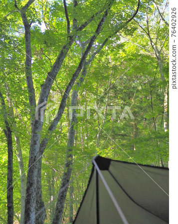 Camp 76402926