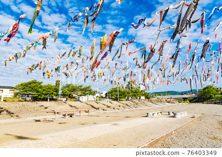 Akutagawa Sakurazutsumi Park Carp Streamer Festa 76403349