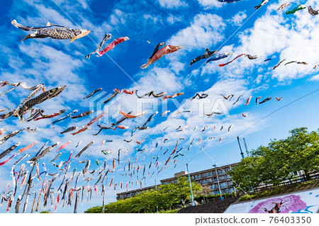 Akutagawa Sakurazutsumi Park Carp Streamer Festa 76403350