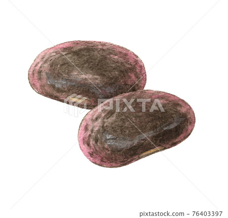 2 purple flower beans, watercolor pencil drawing 2 purple flower beans, watercolor pencil drawing 76403397