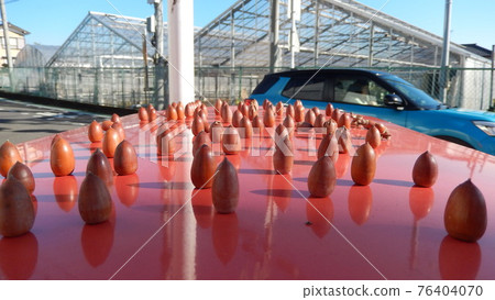 崗位上的風景 崗位上的風景 76404070