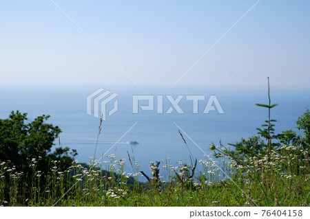 Shiretoko Utoro's white flower field and seascape Shiretoko Utoro's white flower field and seascape 76404158